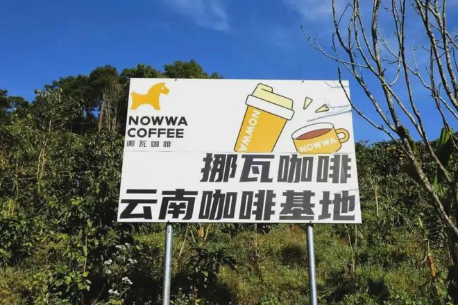 挪瓦咖啡为何成为经销商眼中的“稳赚不朽情缘首页万店规模＋政府基金领投(图12)