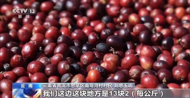 “混搭”经营 云南“咖啡＋”成消费新时尚mg不朽情缘游戏试玩丨用好豆出好咖啡(图4)