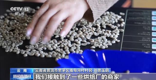 “混搭”经营 云南“咖啡＋”成消费新时尚mg不朽情缘游戏试玩丨用好豆出好咖啡(图8)