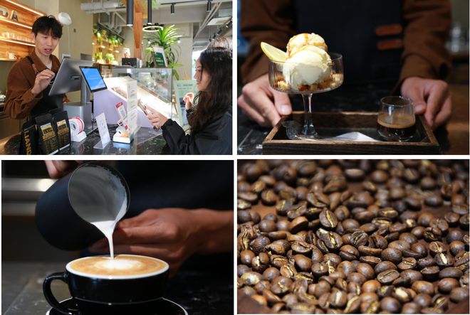 烟火 一粒咖啡豆的云南奇旅不朽情缘平台登录入口国寿映(图1)