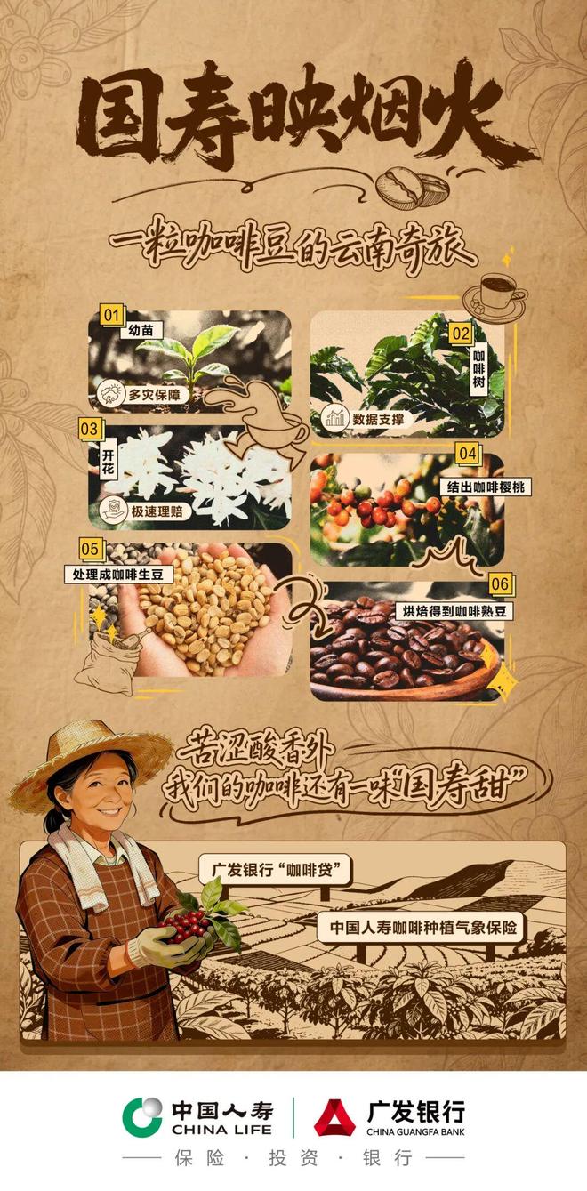 烟火 一粒咖啡豆的云南奇旅不朽情缘平台登录入口国寿映(图3) 烟火 一粒咖啡豆的云南奇旅不朽情缘平台登录入口国寿映(图3)