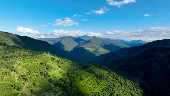 烟火 一粒咖啡豆的云南奇旅不朽情缘平台登录入口国寿映(图9) 烟火 一粒咖啡豆的云南奇旅不朽情缘平台登录入口国寿映(图9)