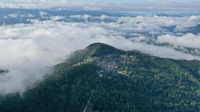 + 供应链底牌…都藏在4天后深圳这场大展里不朽情缘平台推荐饮品人必冲！爆款上新灵感(图11)